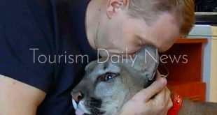 الشرطة البولندية تعلن استسلام الجندي الهارب وأسده بعد 3 أيام فى الغابات