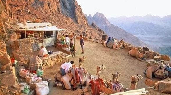 الفرحة تعم بدو سانت كاترين بعد الإعلان عن فتح الرحلات لجبل موسى