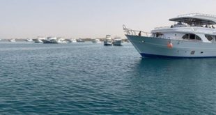 تشغيل 39 يخت سفارى بالبحر الاحمر وجنوب سيناء بعد استيفاء ضوابط السلامة