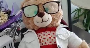 حملة لاستعادة دمية دب مسروقة فى كندا والجائزة 5 آلاف دولار