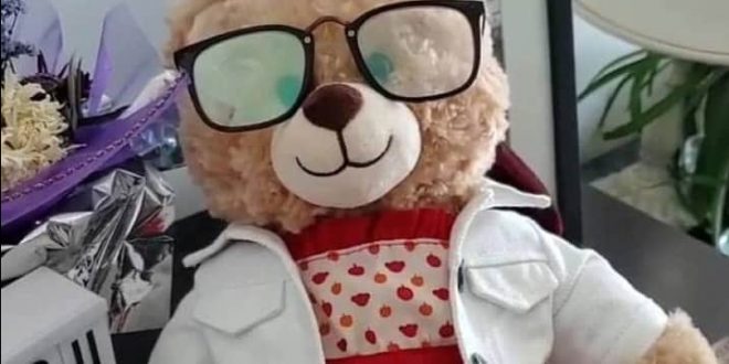 حملة لاستعادة دمية دب مسروقة فى كندا والجائزة 5 آلاف دولار