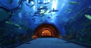 دبي تطلق مفاجآت الصيف لعام 2020... 100 وجهة تحقق لك حلم الضيافة