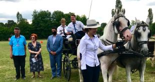 سفارة مصر في بلجراد ترعى مسابقة فروسية في صربيا تبرز سلالة الحصان العربي