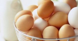 عودة السياحة ترفع أسعار البيض 15%  بالبحر الأحمر والطلب يرتفع 30 %