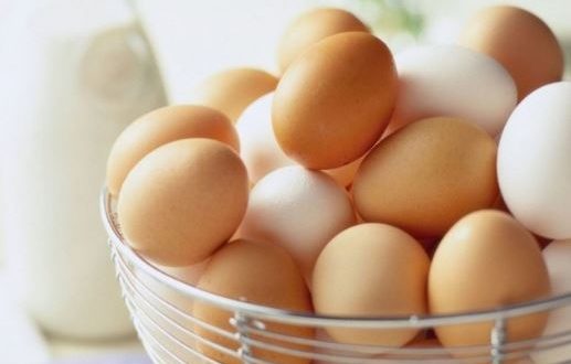 عودة السياحة ترفع أسعار البيض 15%  بالبحر الأحمر والطلب يرتفع 30 %