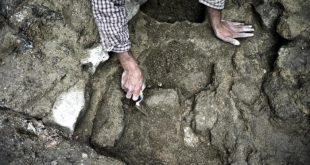 فرنسا تكتشف 150 قبرا تعود إلى ما بين منتصف القرن 3 والقرن 5 الميلادي