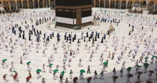 الحج الأخضر هذا العام هل ينهى تسونامي الزحام فى السنوات القادمة ؟
