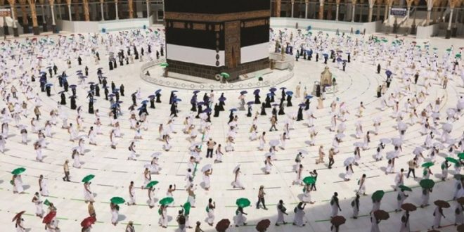 الحج الأخضر هذا العام هل ينهى تسونامي الزحام فى السنوات القادمة ؟
