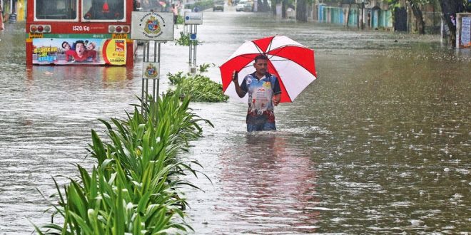 الهند : تعطل السكك الحديدية والمرور بسبب الأمطار الغزيرة