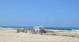 سياحة الإسكندرية تشن حملات لإخلاء شاطئ النخيل من المصطافين