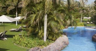 قصر الإمارات يتيح للزوار الاسترخاء وسط واحات النخيل وقضاء يومٍ صيفي مذهل