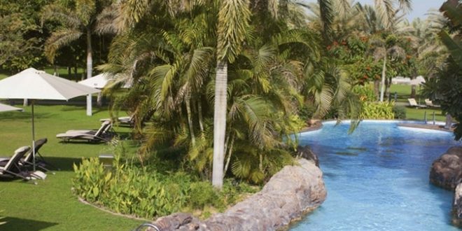 قصر الإمارات يتيح للزوار الاسترخاء وسط واحات النخيل وقضاء يومٍ صيفي مذهل