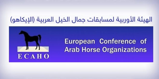 نقل بطولة جمال الخيل العربية من بلجيكا الي التشيك .. بسبب كورونا