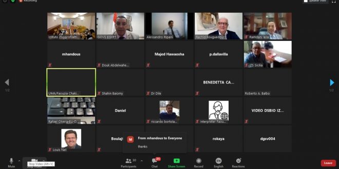 فى اليوم العالمى للسعار .. الفاو تعرض خطة لمحاصرة المرض بحوض المتوسط