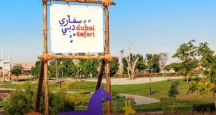 "سفاري دبي بارك" تفتح أبوابها أمام الزوار 5 أكتوبر المقبل