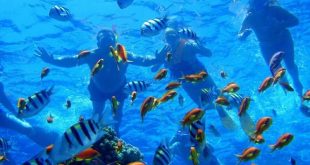 البيئية تتوقع تضاعف أعداد السياح بالمحميات الطبيعية فى مصر 4 مرات