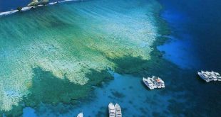 السعودية تتحول لوجهة سياحية عالمية فى الترفيه .. وتسهيلات التأشيرة بداية