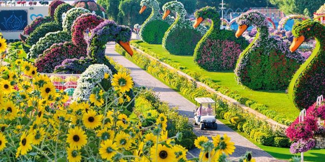 أكبر حديقة للزهور الطبيعية في العالم تفتح أبوابها أمام الزوار أول نوفمبر