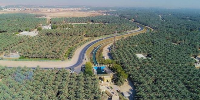 جينيس للأرقام القياسية تسجل الأحساء كأكبر واحة في العالم1