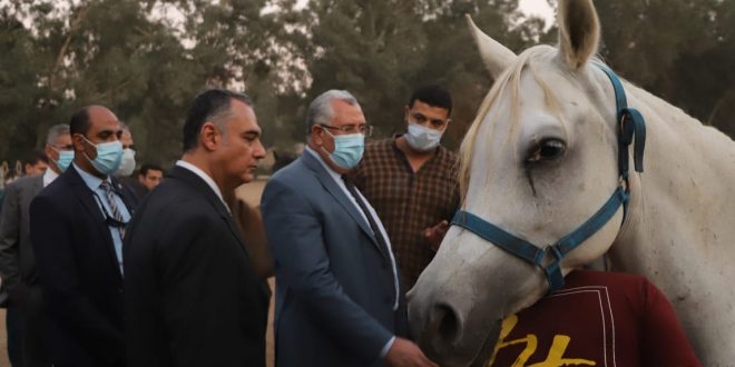وزير الزراعة يتفقد أعمال تطوير ورفع كفاءة محطة الزهراء للخيول العربية