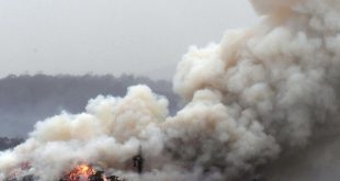 حرائق الغابات فى أستراليا تجتاح جزيرة فريزر المدرجة بقائمة التراث العالمي