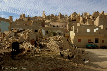 الاتحاد الأوروبي يعيد إحياء قرية شالي الآثرية بسيوة والعناني يفتتاحها غداً