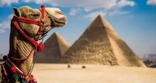 التعبئة والإحصاء يكشف أضرارا جسيمة تعرضت لها السياحة وانخفاض الناتج المحلي