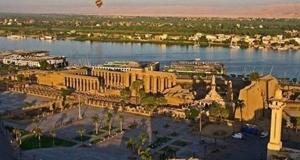 فزع فى الأقصر من حشرة غريبة ومخاوف الأهالى تتزايد