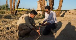 مدير عام آثار الكرنك يفوز بالجائزة الثانية في مسابقة الكتابة 1