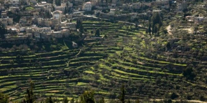 إدراج مواقع تراثية فلسطينية على قائمة التراث في العالم الإسلامي