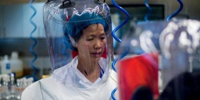 الصين تحذر من أنواع جديدة من فيروس كورونا تنقلها الخفافيش