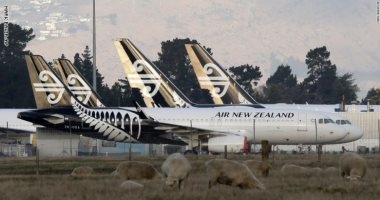 "فقاعة سفر" بين نيوزيلندا وأستراليا اعتباراً من مطلع يناير المقبل