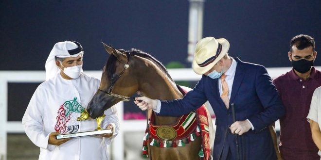 الأريام تحصد ذهب الخيول العربية بمهرجان الشارقة