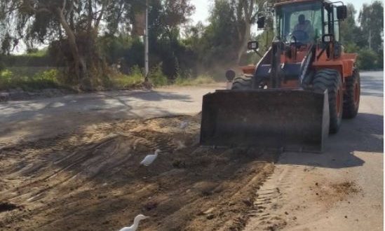 البياضية تتأهب لعودة السياحة بتوسعة الطرق ورفع المخلفات وتقليم الأشجار