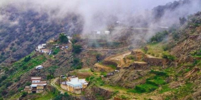 السياحة السعودية تكشف عن إصدار 400 ألف تأشيرة سياحية فى 6 شهور
