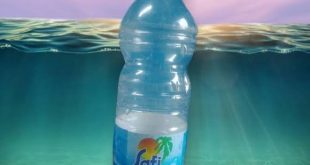 الصندوق السيادي يفاوض 5 شركات لبيع صافي