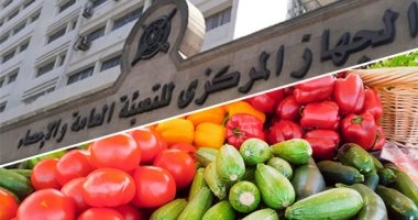 الفنادق والوجبات الجاهزة وخدمات المرضى تقود الأسعار للارتفاع فى شهر نوفمبر