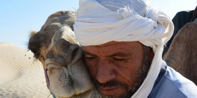 بالأرقام خسائر الدول العربية من توقف السياحة والسفر وكيف تعاملت الحكومات؟3