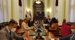 تحرك دبلوماسي مصري نحو الصرب لزيادة التبادل التجاري والاستثماري2