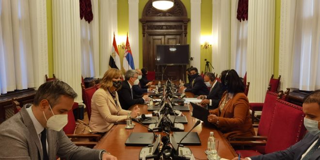 تحرك دبلوماسي مصري نحو الصرب لزيادة التبادل التجاري والاستثماري2