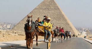 خبراء : مبادرات الحكومة لإنقاذ السياحة  مسكنات ولا تستطيع وقف خسائر القطاع