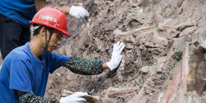 اكتشاف أحافير نادرة لديناصورات فى شرق الصين يعود تاريخها إلى 70 مليون عام