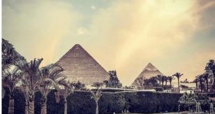 السياحة تبرز اختيار تريب أدفايزر الاسكندرية كأفضل الوجهات السياحية بالعالم