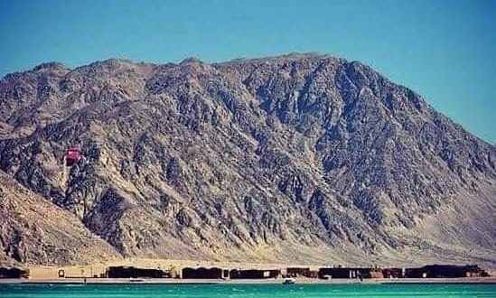 محمية أبوجالوم النباتات النادرة وعلاجية5