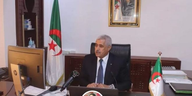 حميدو: 10فنادق عمومية تحتضن نشاطات ثقافية فى المرحلة أولى للبروتوكول الصحي