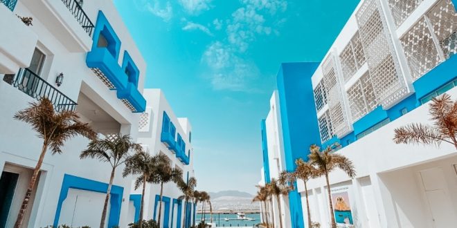 إدراج أيلة كوجهة سياحية ترفيهية على منصة السفر العالمية Trip Advisor