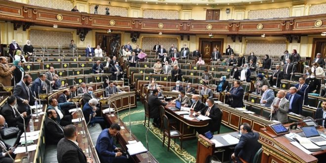 العناني يلقى بياناً أمام مجلس النواب حول تنفيذ برنامج الحكومة