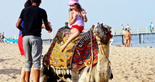 خبير يكشف ما قدمته مصر لعودة السياحة الروسية