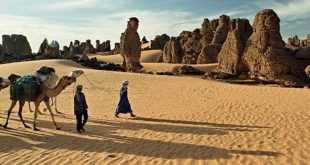 الجزائر .. خسائر وديون ووقف لرواتب العمال بسبب توقف السياحة