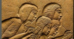 التربية والتعليم في مصر القديمة أحدث إصدارات هيئة الكتاب